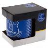 Everton FC Mug 4