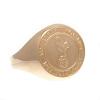 Tottenham Hotspur FC 9ct Gold Crest Ring Medium 2
