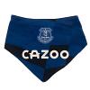 Everton FC 2 Pack Bibs 2