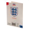 England FA Birthday Card 4