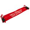 FIFA World Cup Qatar 2022 Wales Scarf 2