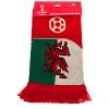 FIFA World Cup Qatar 2022 Wales Scarf 4