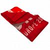 Liverpool FC Champions Of Europe Flag 3