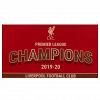 Liverpool FC Premier League Champions Flag 4