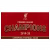 Liverpool FC Premier League Champions Flag 4