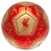 Liverpool FC Football Signature 4