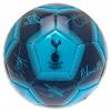 Tottenham Hotspur FC Football Signature 4