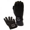 Everton FC Luxury Touchscreen Gloves Youths 2