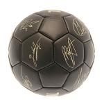 Arsenal FC Skill Ball Signature Gold PH 3