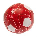 Liverpool FC 4 inch Soft Ball 2