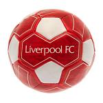Liverpool FC 4 inch Soft Ball 3