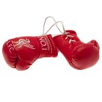 Liverpool FC Mini Boxing Gloves RD 2