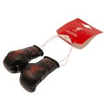 Liverpool FC Mini Boxing Gloves BK 3