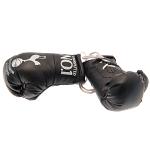Tottenham Hotspur FC Mini Boxing Gloves 2