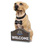 Newcastle United FC Labrador Gnome 2