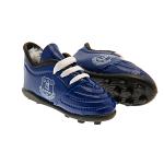 Everton FC Mini Football Boots 2