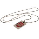 Arsenal FC Enamel Crest Dog Tag & Chain 2