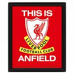 Liverpool FC Framed 3D Picture 2