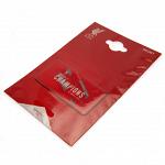 Liverpool FC Champions Of Europe Fridge Magnet 2