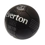 Everton FC Skill Ball RT 2
