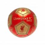 Liverpool FC Skill Ball Signature 2