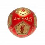 Liverpool FC Skill Ball Signature 2