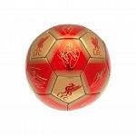Liverpool FC Skill Ball Signature 3