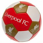 Liverpool FC Football Size 3 2