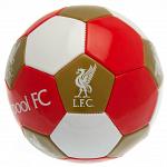 Liverpool FC Football Size 3 3