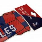 Crystal Palace FC Show Your Colours Sign 3