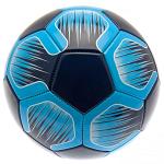 Tottenham Hotspur FC Football NS 3