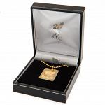 Liverpool FC Gold Plated Dog Tag & Chain 3