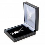 Liverpool FC Pendant & Chain - Sterling Silver - Liver Bird 2