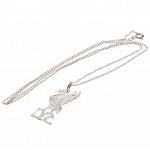 Liverpool FC Pendant & Chain - Sterling Silver - Liver Bird 3