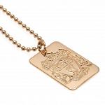 Liverpool FC Gold Plated Dog Tag & Chain 2