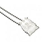 Manchester City FC Stainless Steel Pendant & Chain EC LG 3