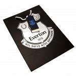 Everton FC Gift Bag 3