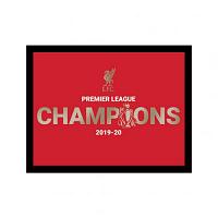 Liverpool FC Premier League Champions Metallic Picture 10 x 8