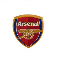 Arsenal FC Fridge Magnet - 3D