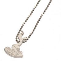 Tottenham Hotspur FC Pendant & Chain - Stainless Steel