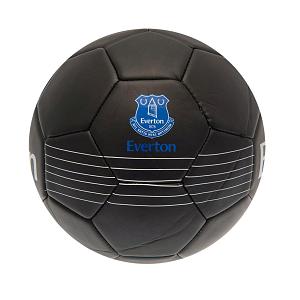 Everton FC Skill Ball RT 1