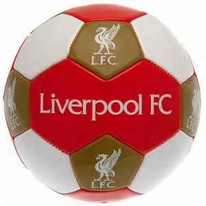 Liverpool FC Football Size 3 1