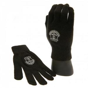 Everton FC Gloves - Kids 1